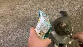 The Cat's Meowee Organic Catnip Review