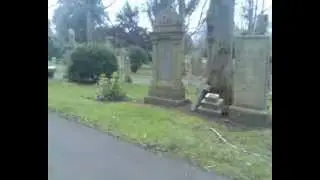 Walking in Old Eastwood Cemetery in Thornliebank, Glasgow
