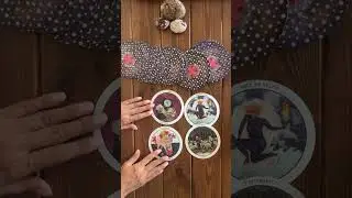 You're Meant To Hear This! #shorts #tarot #tarotreading
