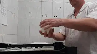 первый переворот камамбера