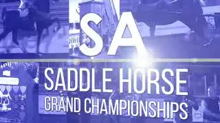 SA Saddle Horse Championships 2018
