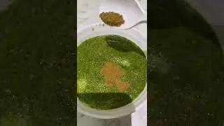 Pudina / mint Chutney #shorts #trending #recipe #follow #share #uk