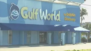 Local and state officials respond to concerns over Gulf World Marine Park
