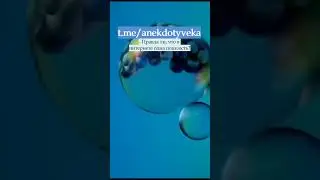 АНЕКДОТ. Правда ли, что в интернете... 