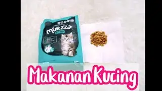 Beli Makanan Kucing Halal Muezza || Makanan Anak Kucing