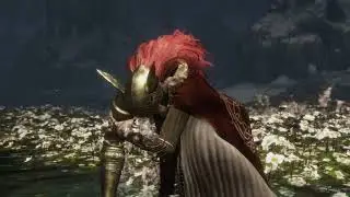Lost Old Man VS Malenia, Goddess of Rot