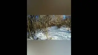 Промах по зайцу...