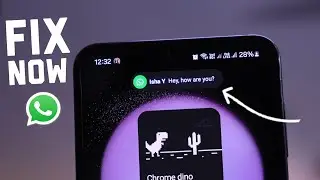 How to Fix WhatsApp Notifications Not Showing on Homescreen? (Android + IOS)