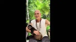 Kundalini Tribe 2026