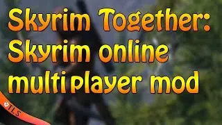 Skryim Together: Skyrim Co-op online multiplayer mod to play with friends