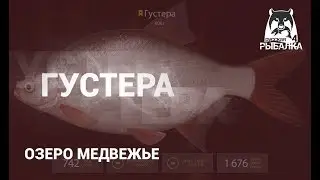 RF4! РР4! Русская Рыбалка 4! Озеро Медвежье - Густера!