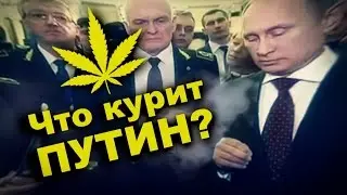 ЧТО КУРИТ ПУТИН  Очередное бредовое заявление президента РФ