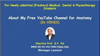 About my you tube channel  - in Hindi