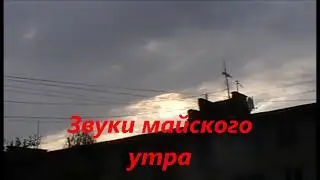 звуки майского утра