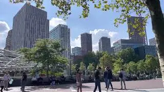 Rotterdam 2022