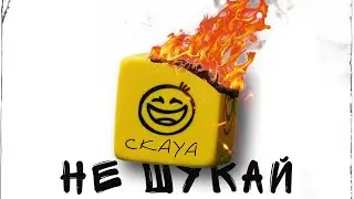 CKAYA - Не шукай (Lyric Video)