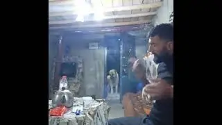 Topkek yiyen köpek