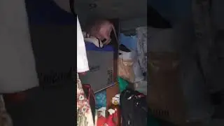 Сфинксы то же путешествуют