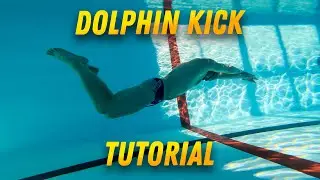 How to Dolphin Kick | Butterfly Kick Tutorial