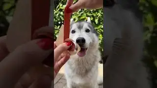 Creo le CARAMELLE ALLUNGABILI di COCOMERO 🍉🍬😋 