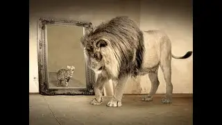 NARCISISMO