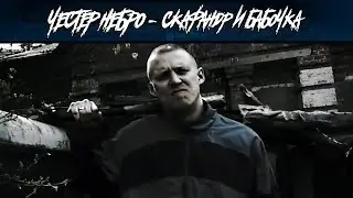 Честер Небро — Скафандр и бабочка