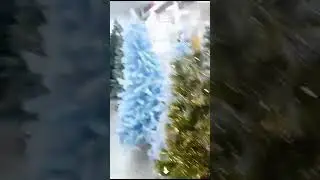 Ангелина 🎄🎄🎄🎄🎄🎄🤪😎😘💖🎆#tiktok #блогер #мама #семья #бебибон #дети