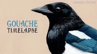 Painting a magpie in GOUACHE /// Painting timelapse