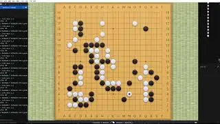 KataGo + Sabaki Auto Play