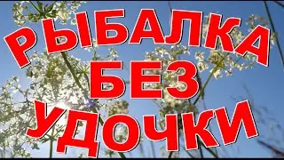 Рыбалка без удочки Клюёт всегда! Отдых за городом