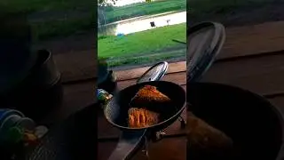 😱А ще 5 хв тому він Плавав у Водоймі! Повних 2 серії уже на Каналі! #shorts #fishing #рибалка