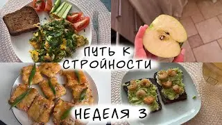 ДНЕВНИК ПИТАНИЯ#3/ПОПЫТКА НОМЕР 2/ХУДЕЕМ ВМЕСТЕ/ПУТЬ К СТРОЙНОСТИ