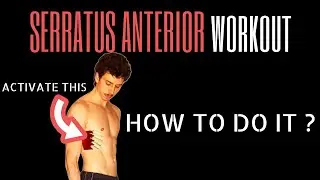 The most NEGLECTED muscle during exercise: The Serratus anterior 