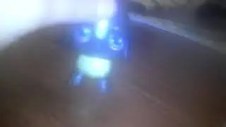 Новый пет