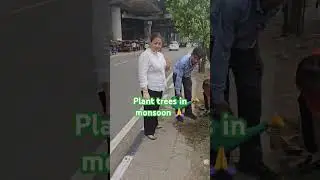 plant trees in monsoon season...🙏| humble cause | clean delhi green delhi #planttrees #greenearth
