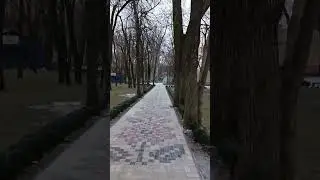 Первый снег в парке Горького г. Мелитополь