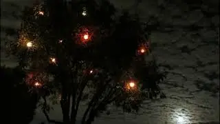 Футаж №231 Лампочки на дереве