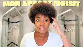 J'AI SAUVÉ MON APPARTEMENT DE LA MOISISSURE 🦠 | moti'vlog ep 2