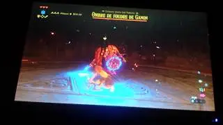Attack animation cancel (Thunderblight P1&2)