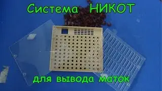 System output queens Nicot MATKOVODSTVO FOR BEGINNERS beekeepers
