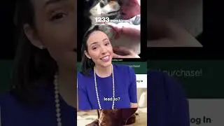Ad reaction: Dog edition