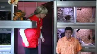 6 кадров - в зоомагазине