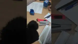 Не выдают справку с места жительства - нарушают закон!