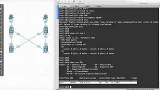 VXLAN: Logical Encapsulation Interfaces (NVE) DEMO