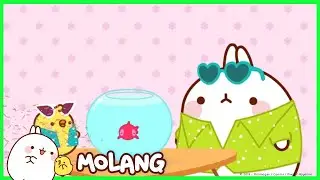 Molang - The Goldfish | 