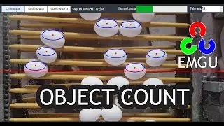 C# EmguCV Object Count | Egg Count System | Computer Vision | C# EmguCv Nesne Sayma | Demo
