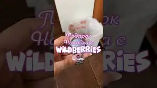 Обзор находка подарок с Wildberries. Артикул 180044473 