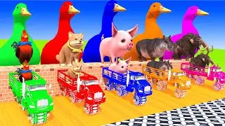 5 Giant Duck Cartoon,Tiger,Cow,Zebra,Sheep,Pig,Chicken,Dog,Bear Wild Animals Crossing Fountain 2023
