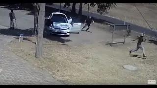 Robber vs THE WOLF and K9 in front of NoJack Office
