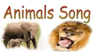 animal sounds jungle song